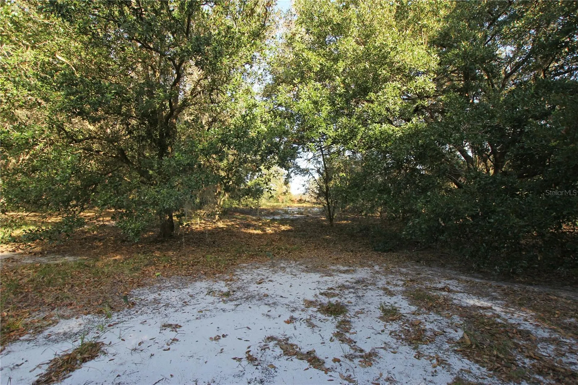 0 Patricia Drive Bartow FL 33830