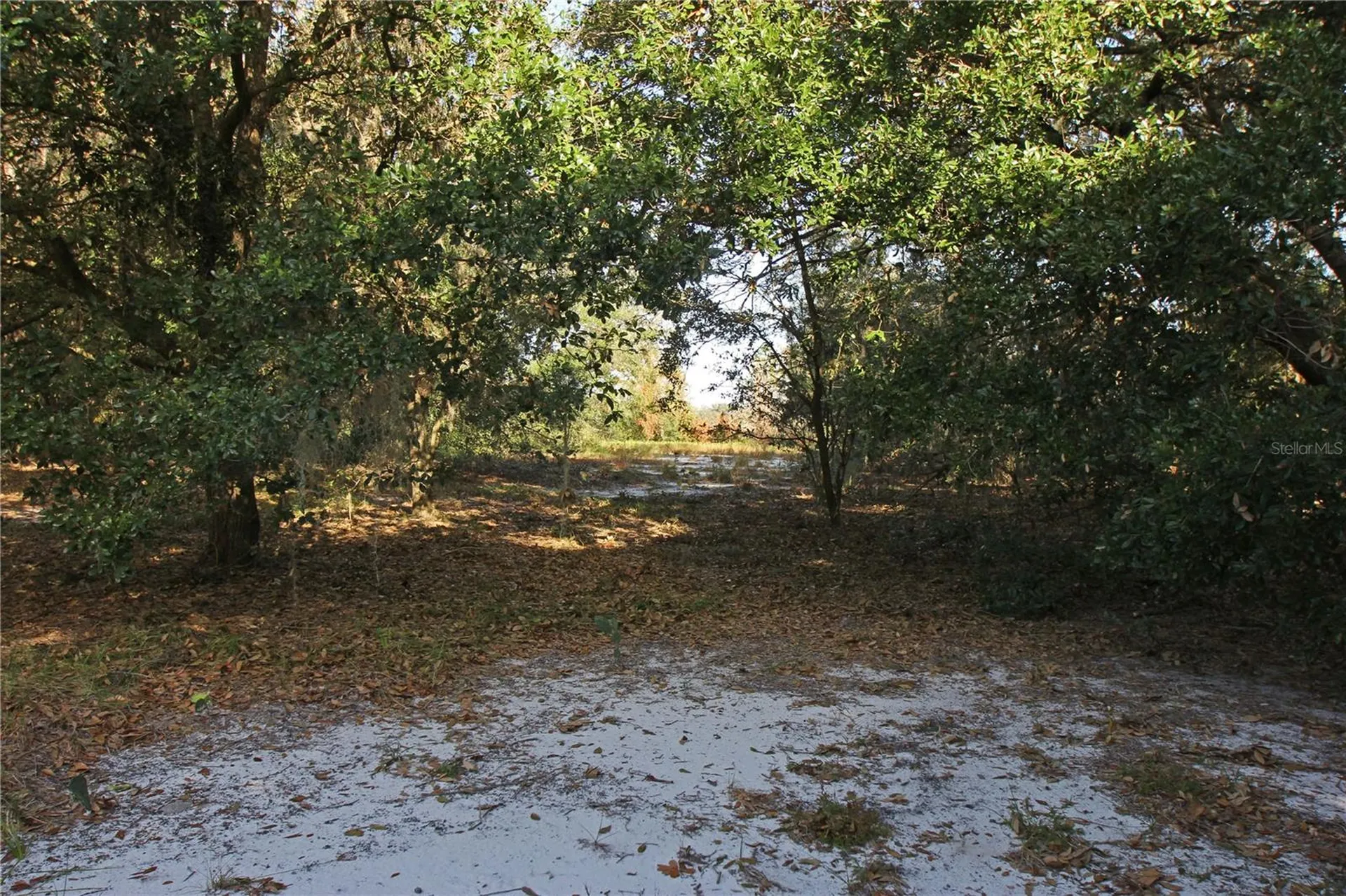 0 Patricia Drive Bartow FL 33830