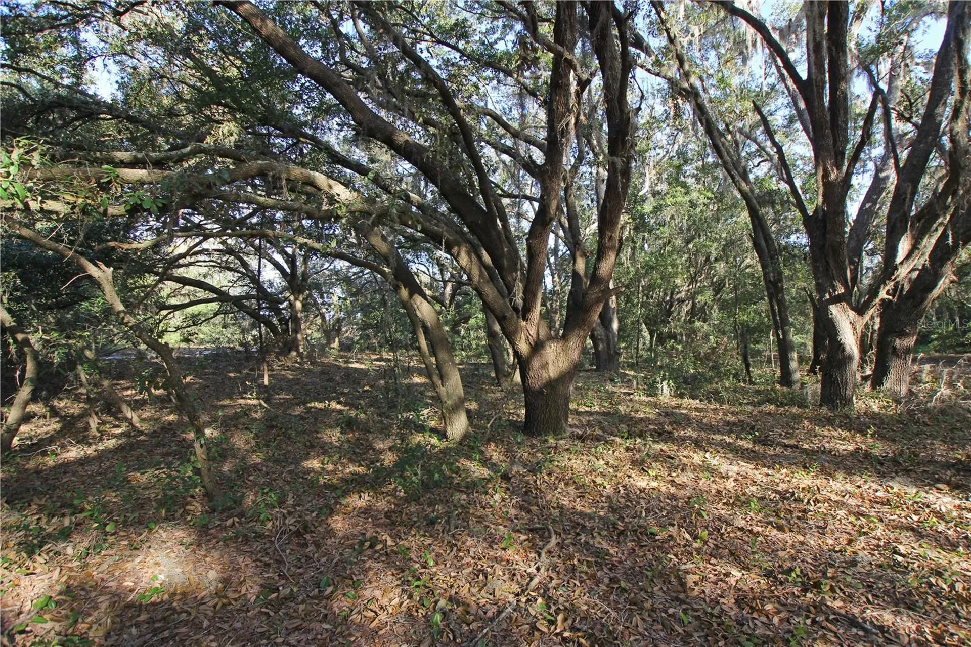 0 Patricia Drive Bartow FL 33830