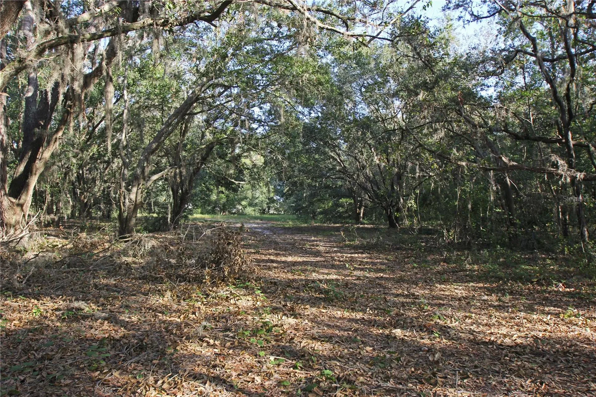 0 Patricia Drive Bartow FL 33830
