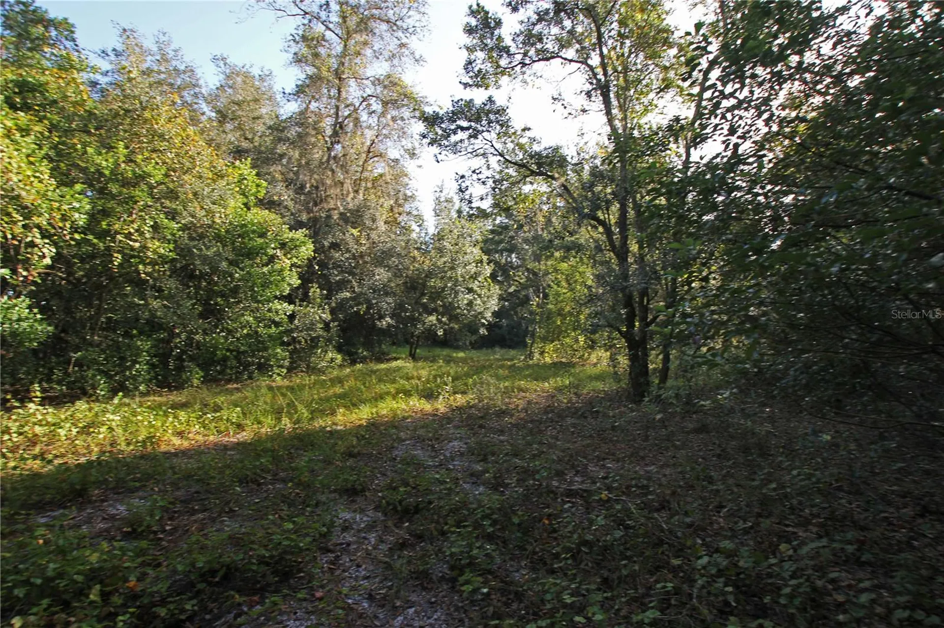 0 Patricia Drive Bartow FL 33830