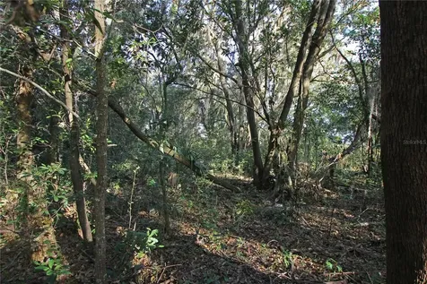 0 Patricia Drive Bartow FL 33830