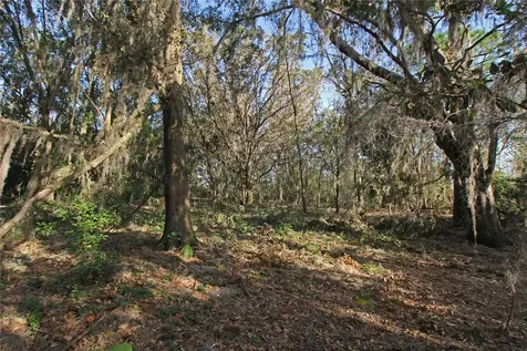 0 Patricia Drive Bartow FL 33830