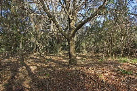 0 Patricia Drive Bartow FL 33830