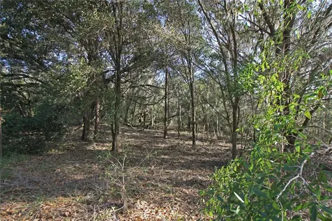 0 Patricia Drive Bartow FL 33830