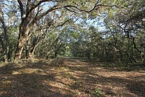0 Patricia Drive Bartow FL 33830