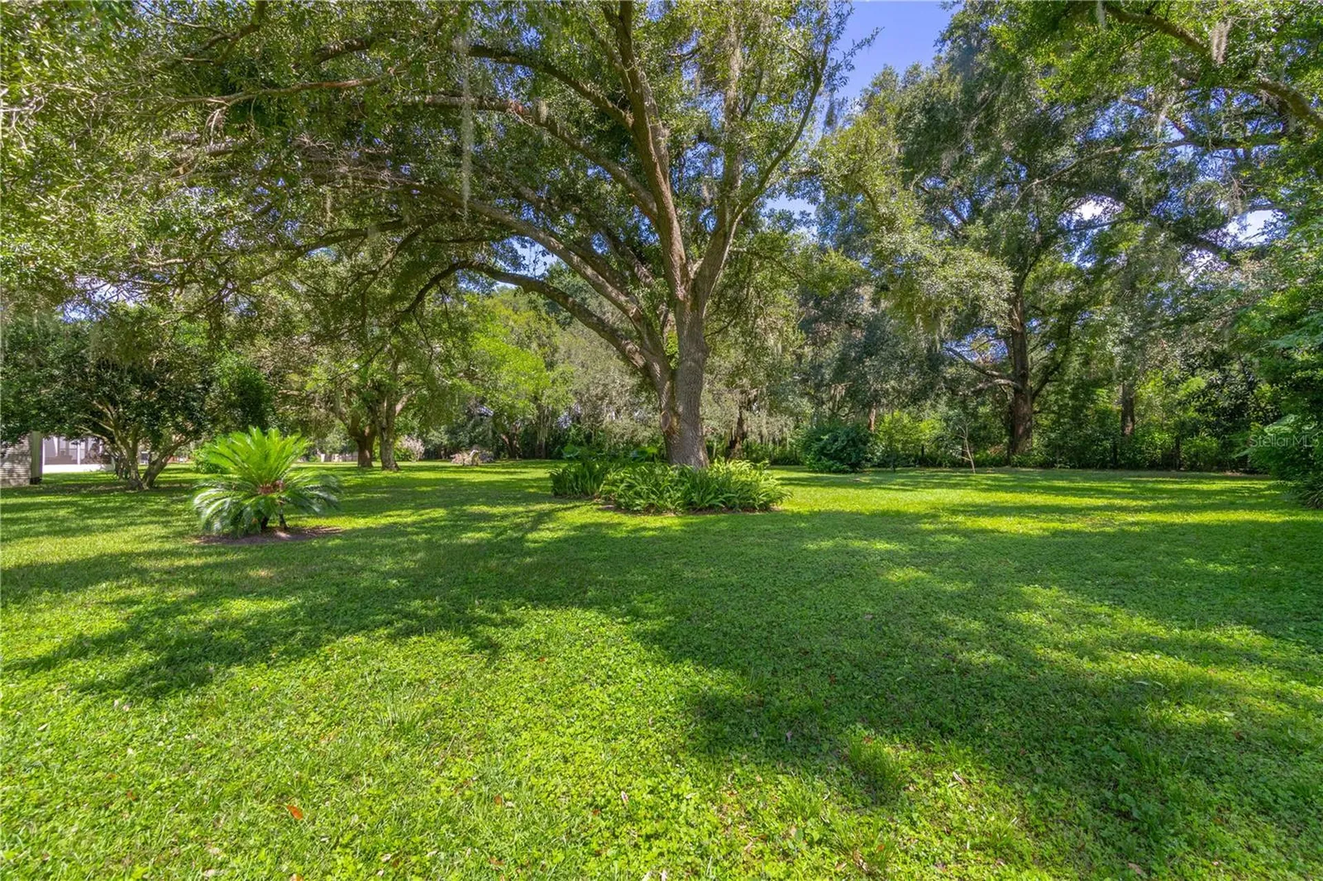 3778 E C-466 Road Oxford FL 34484