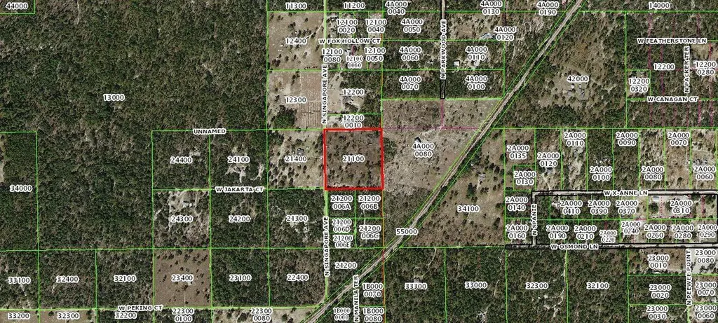 9437 N Singapore Avenue Dunnellon FL 34433