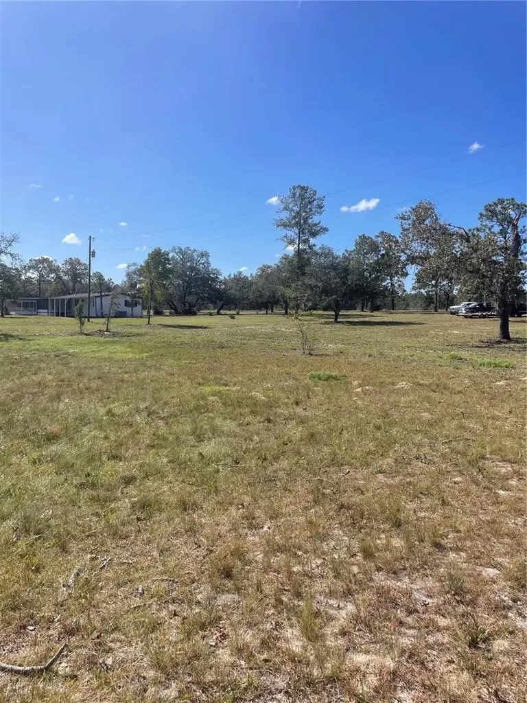 9437 N Singapore Avenue Dunnellon FL 34433
