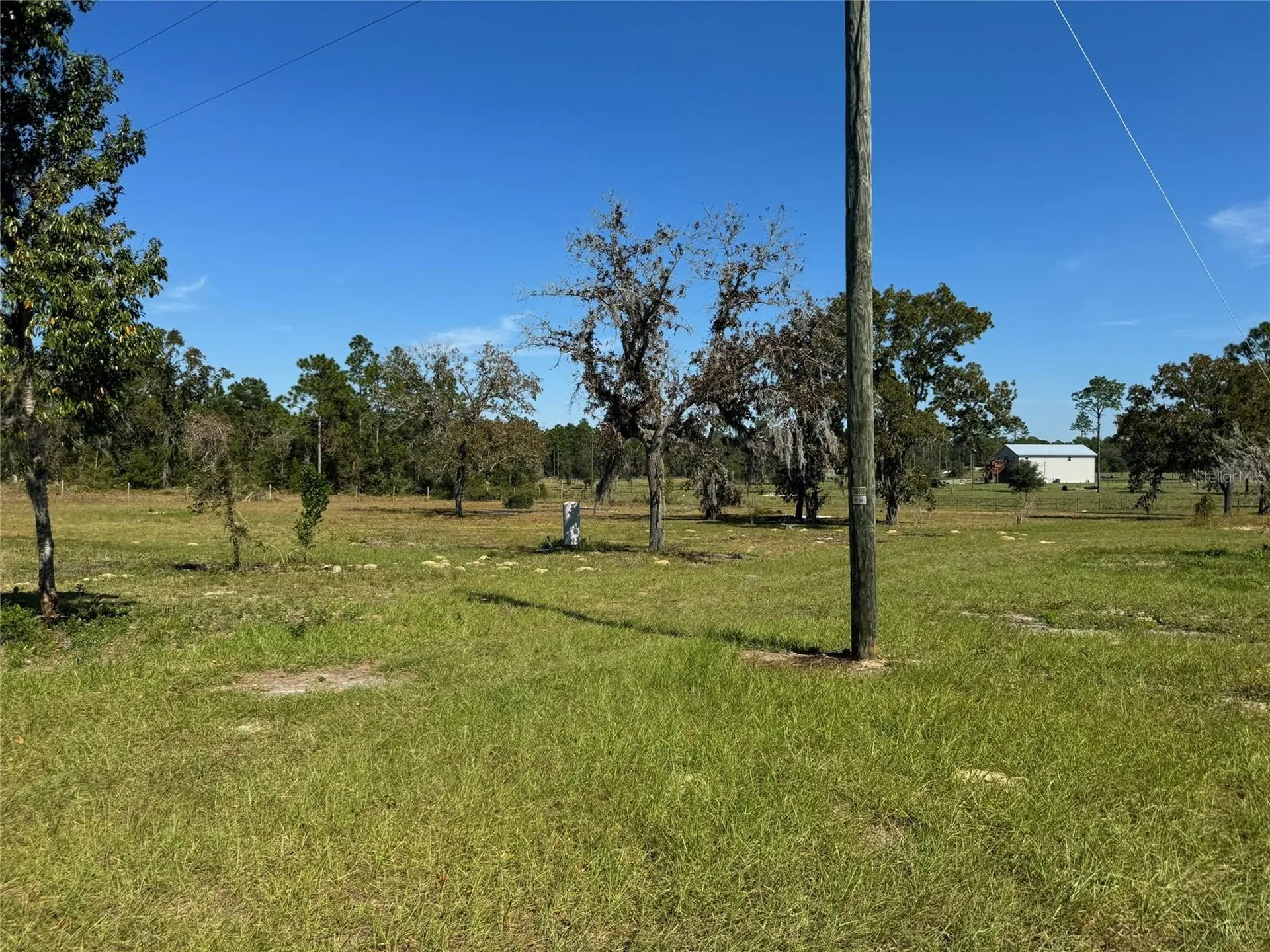 9437 N Singapore Avenue Dunnellon FL 34433