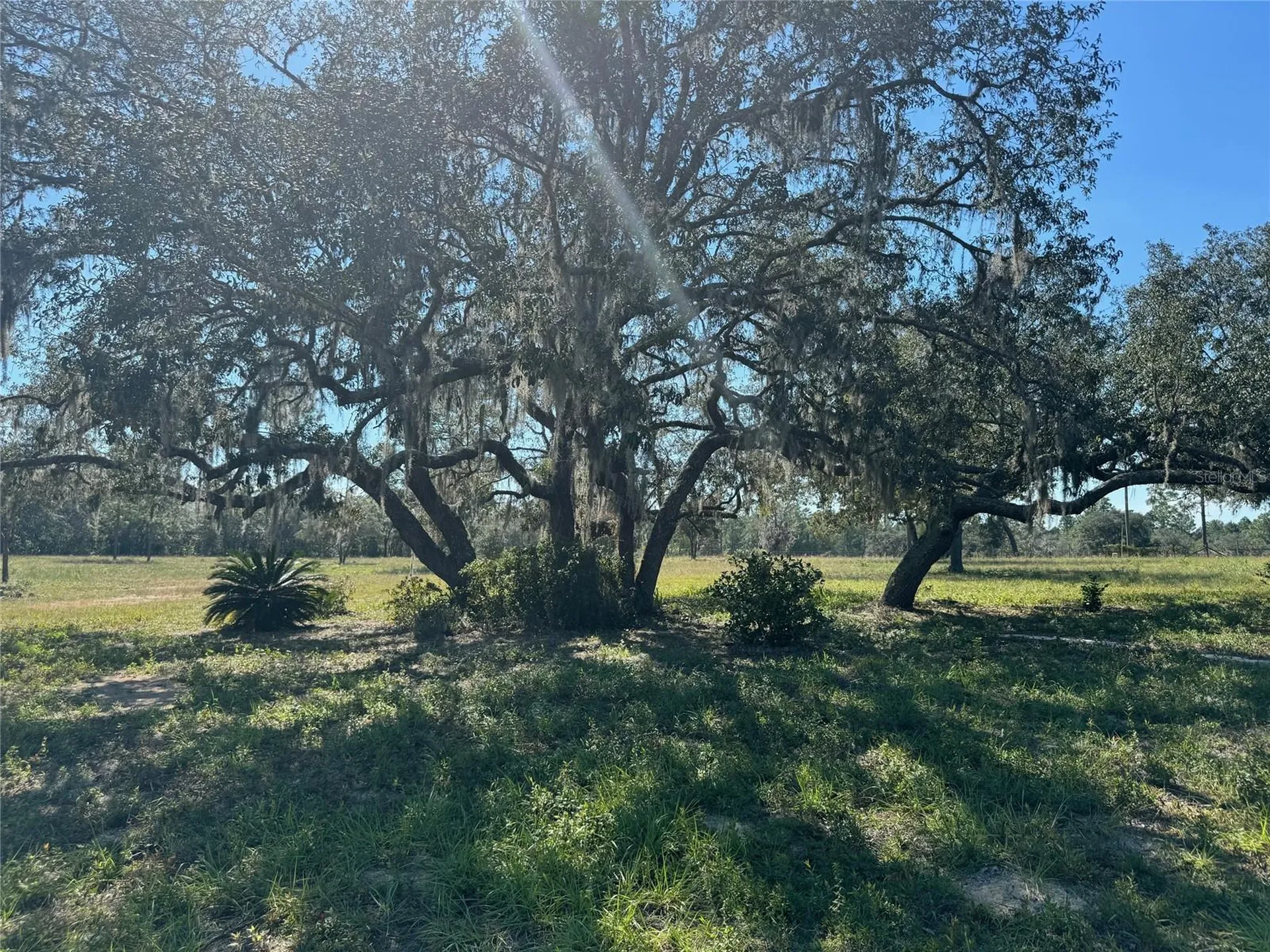 9437 N Singapore Avenue Dunnellon FL 34433