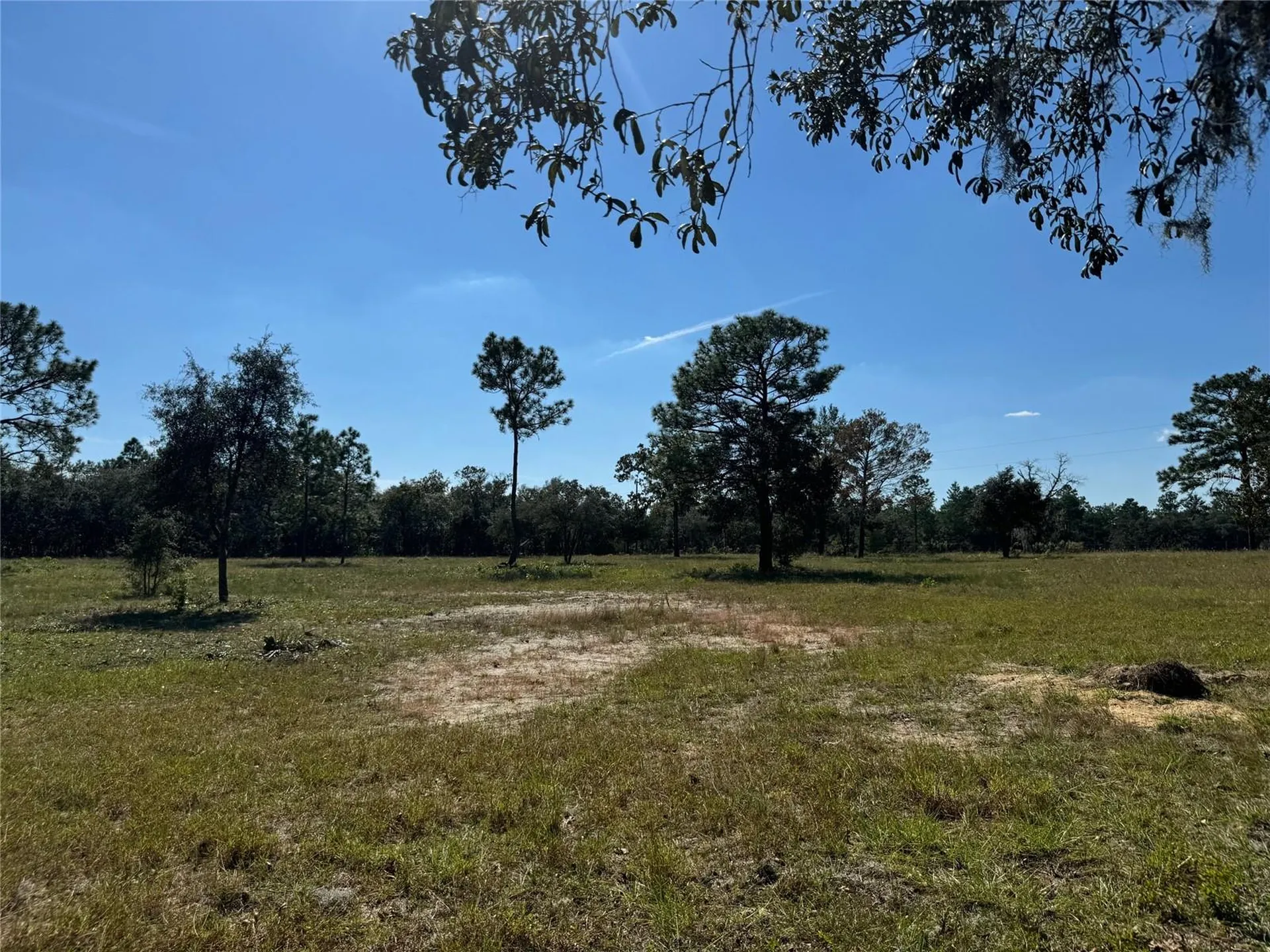 9437 N Singapore Avenue Dunnellon FL 34433