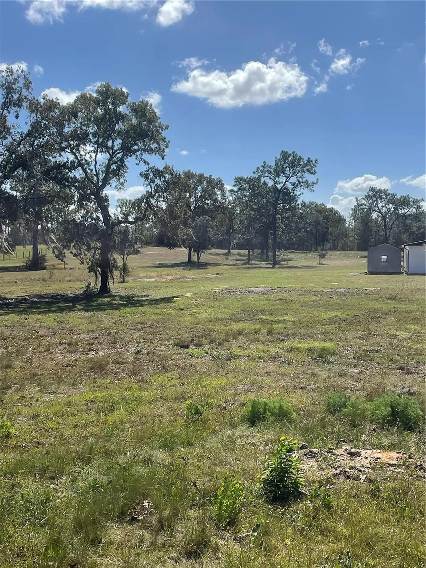 9437 N Singapore Avenue Dunnellon FL 34433