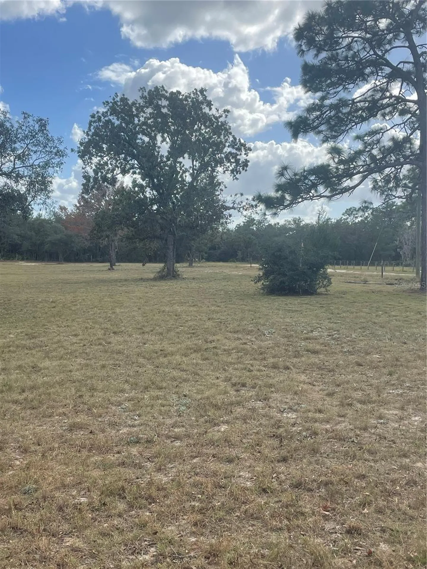 9437 N Singapore Avenue Dunnellon FL 34433