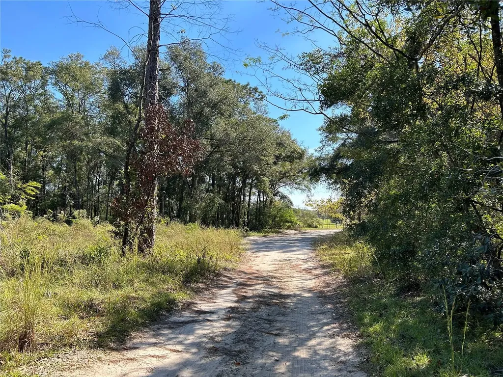 Tbd NE 138th Terrace Williston FL 32696