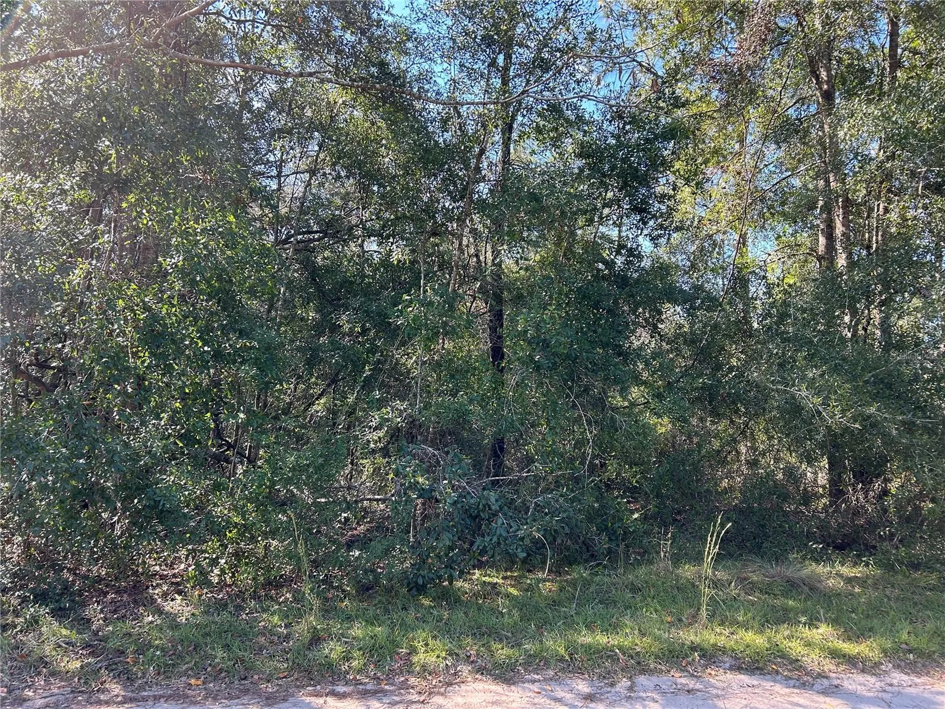 Tbd NE 138th Terrace Williston FL 32696