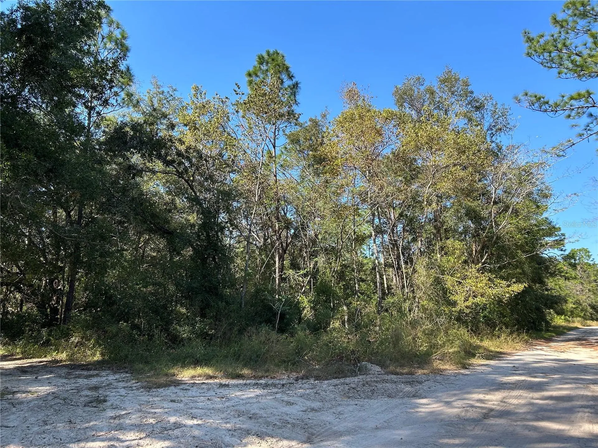Tbd NE 138th Terrace Williston FL 32696