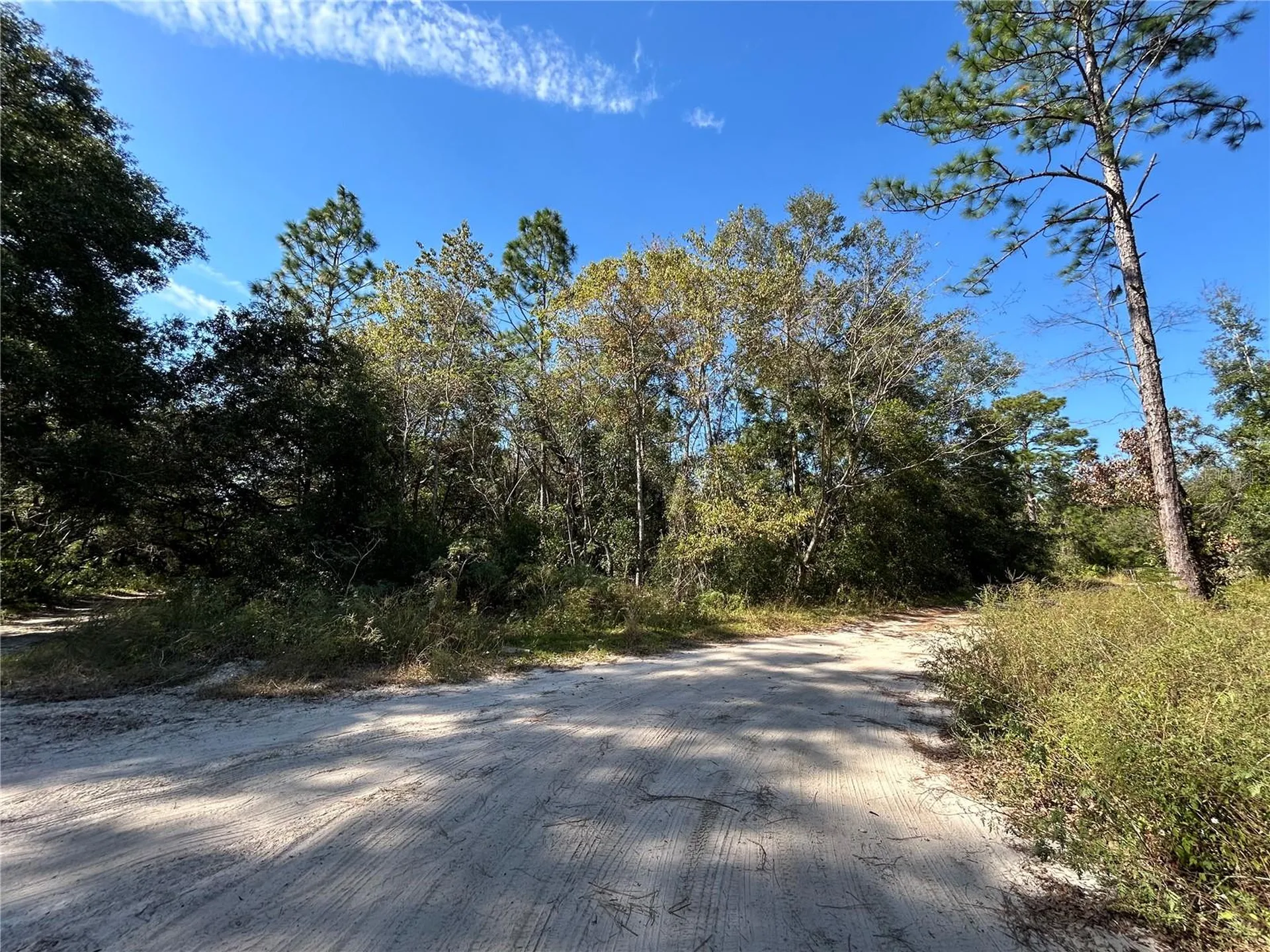 Tbd NE 138th Terrace Williston FL 32696