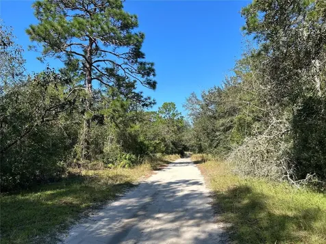 Tbd NE 138th Terrace Williston FL 32696