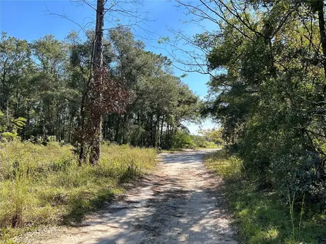 Tbd NE 138th Terrace Williston FL 32696