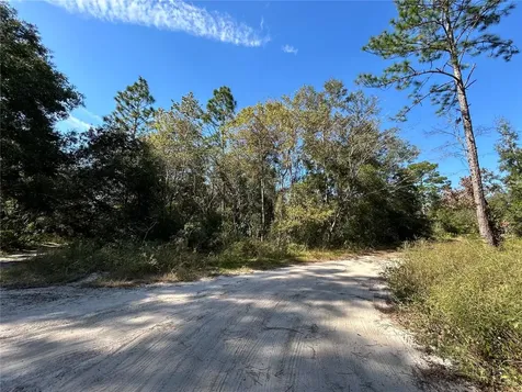Tbd NE 138th Terrace Williston FL 32696