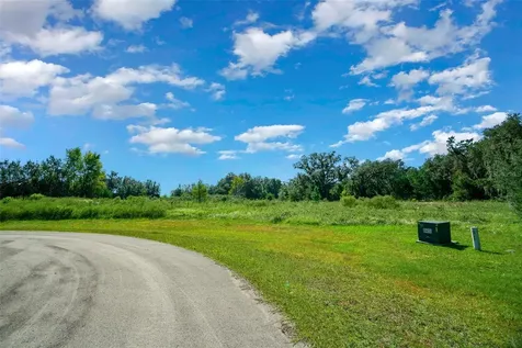 Tbd NW 154th Avenue Road Morriston FL 32668
