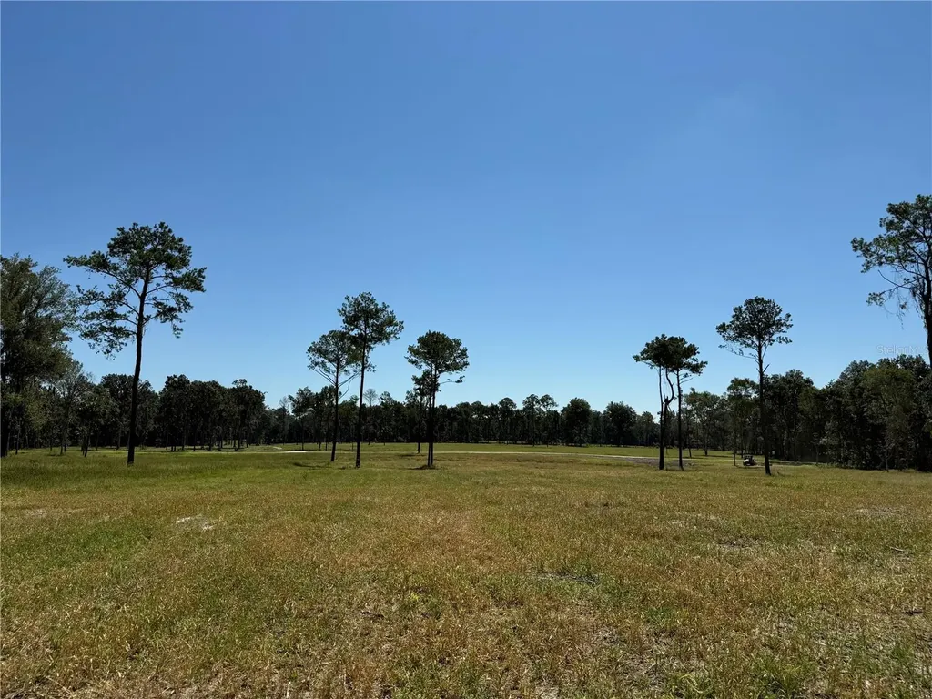 84AC NW 193rd Street Micanopy FL 32667