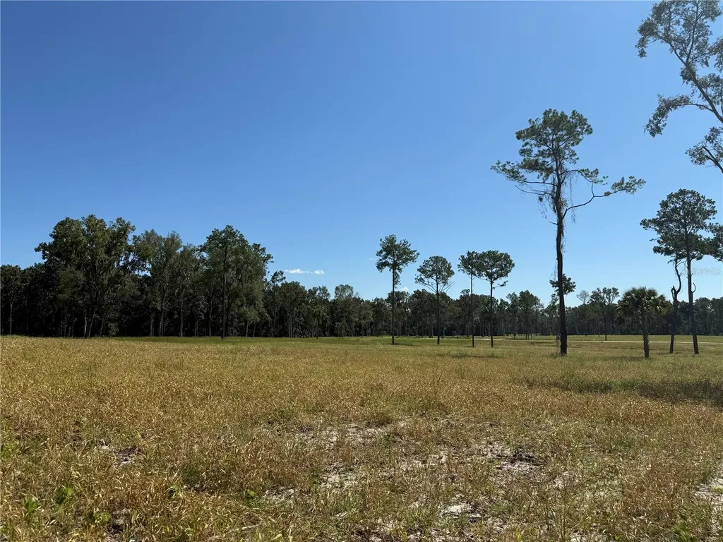 84AC NW 193rd Street Micanopy FL 32667
