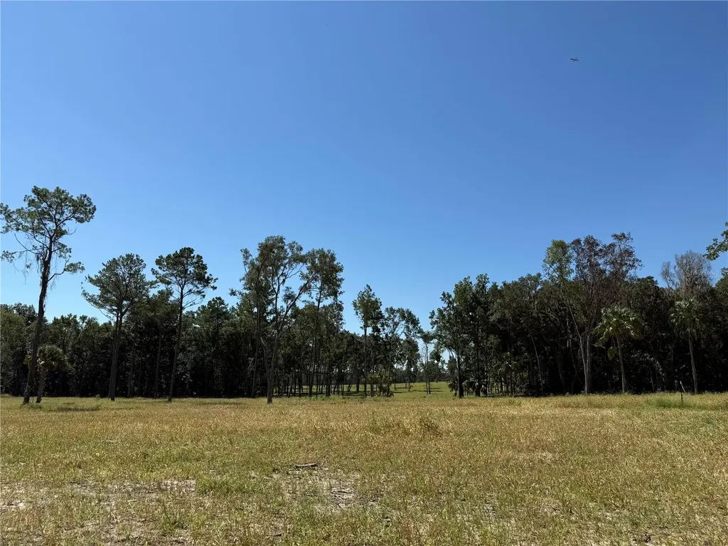 84AC NW 193rd Street Micanopy FL 32667