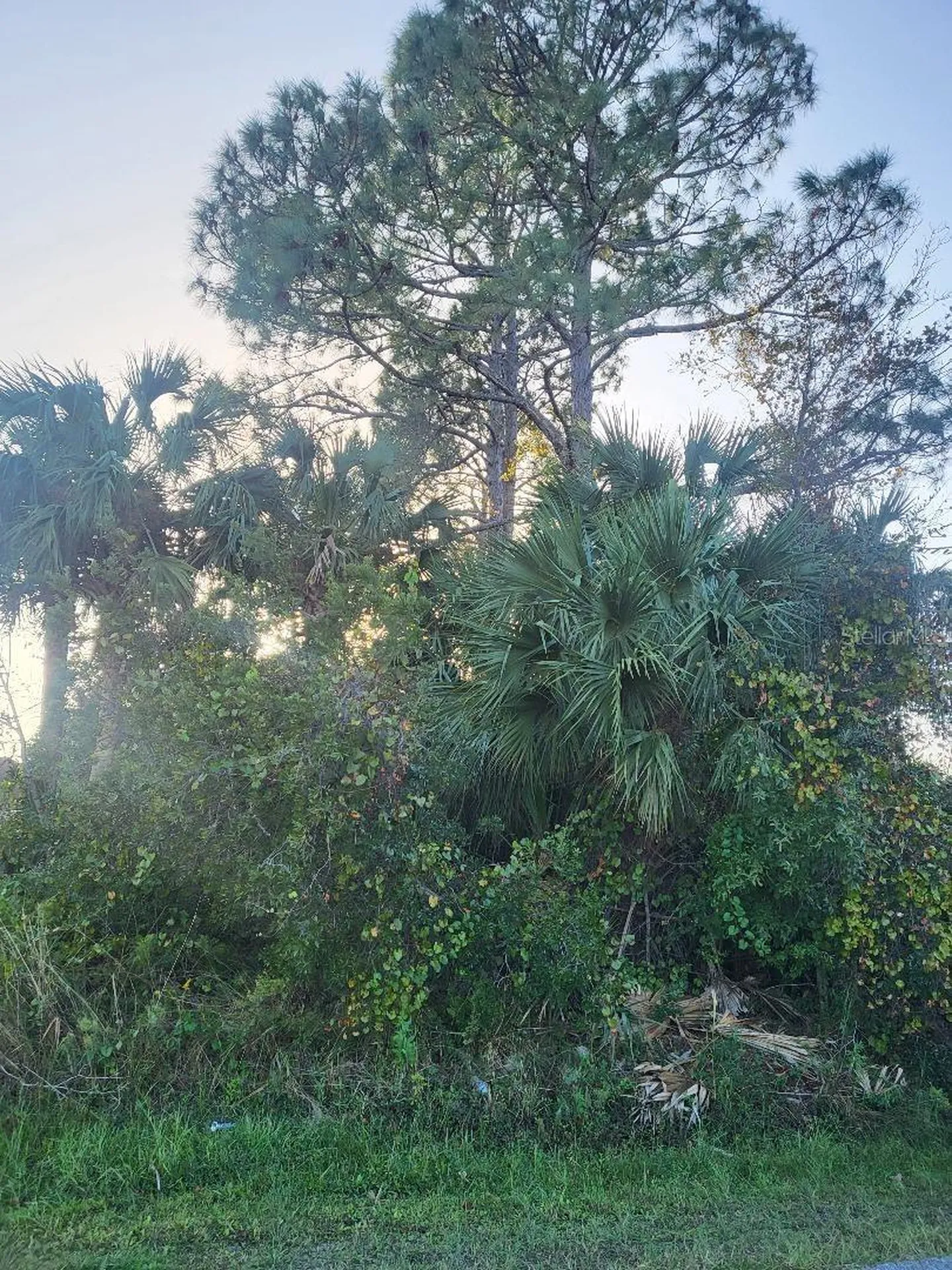 32 Princess Dolores Lane Palm Coast FL 32164