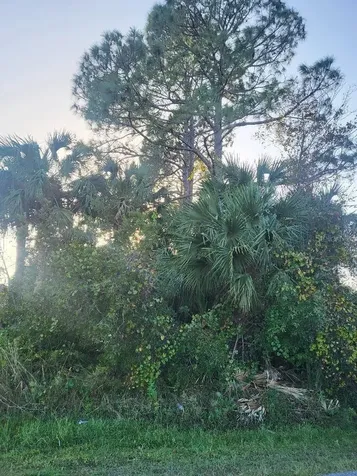 32 Princess Dolores Lane Palm Coast FL 32164