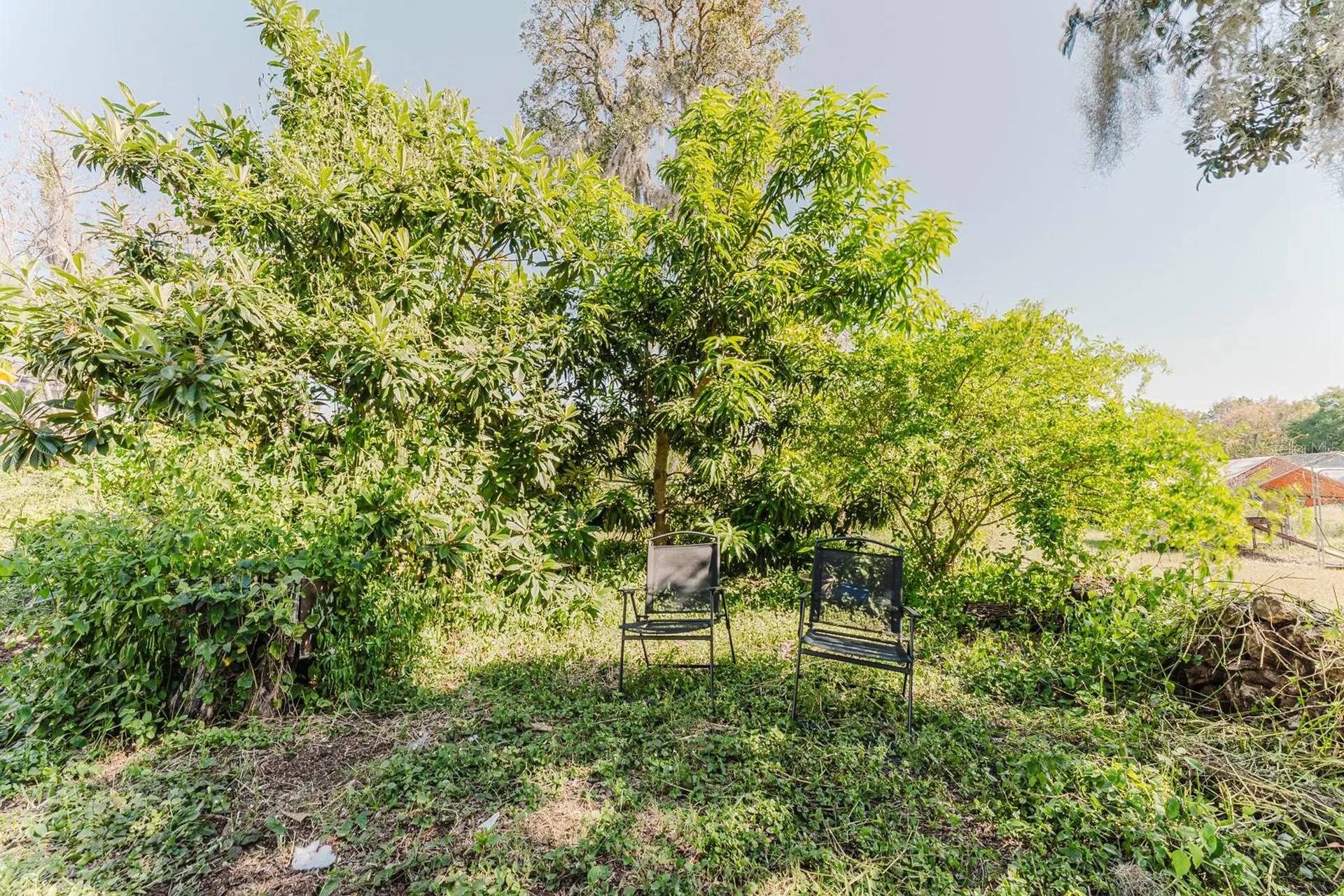 2935 Aein Road Orlando FL 32817