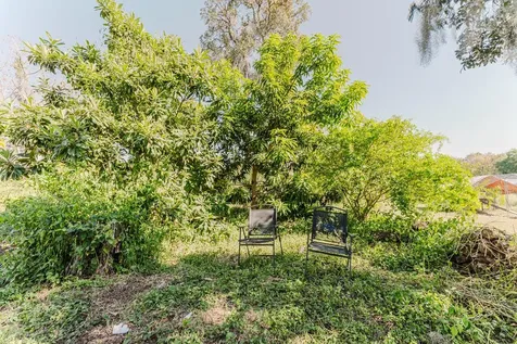 2935 Aein Road Orlando FL 32817