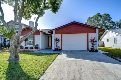 1743 Lakeview Village Drive Brandon FL 33510