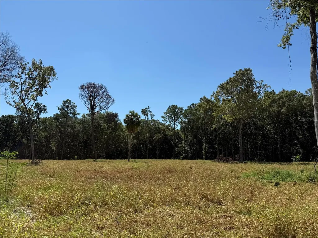 62AC NW 193rd Street Micanopy FL 32667