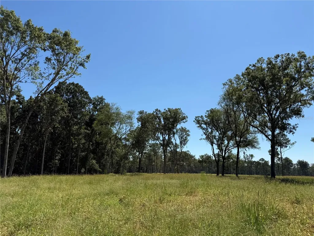 62AC NW 193rd Street Micanopy FL 32667