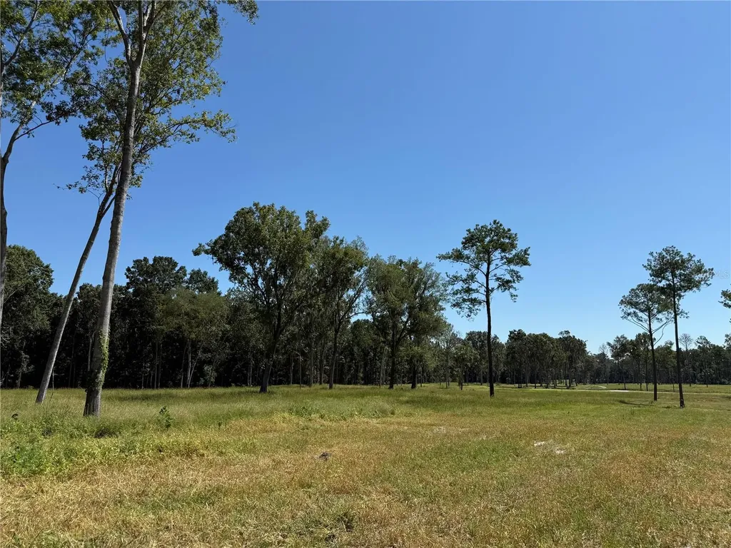62AC NW 193rd Street Micanopy FL 32667