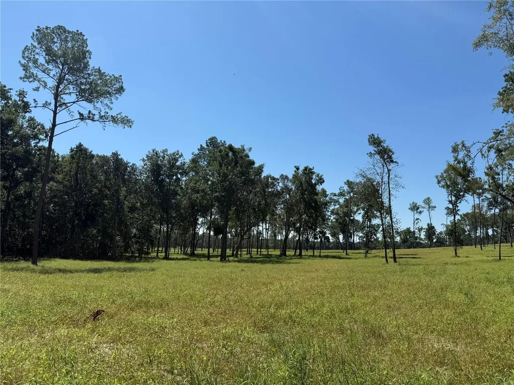 62AC NW 193rd Street Micanopy FL 32667
