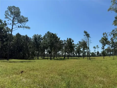 62AC NW 193rd Street Micanopy FL 32667