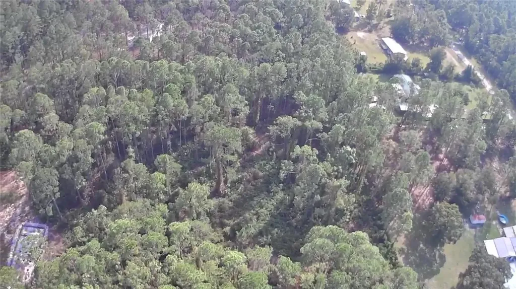 105 Pine Cone Drive Georgetown FL 32139