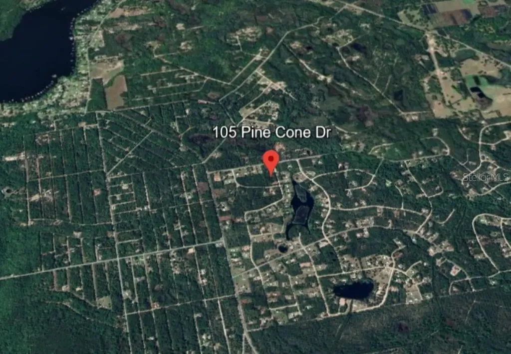 105 Pine Cone Drive Georgetown FL 32139