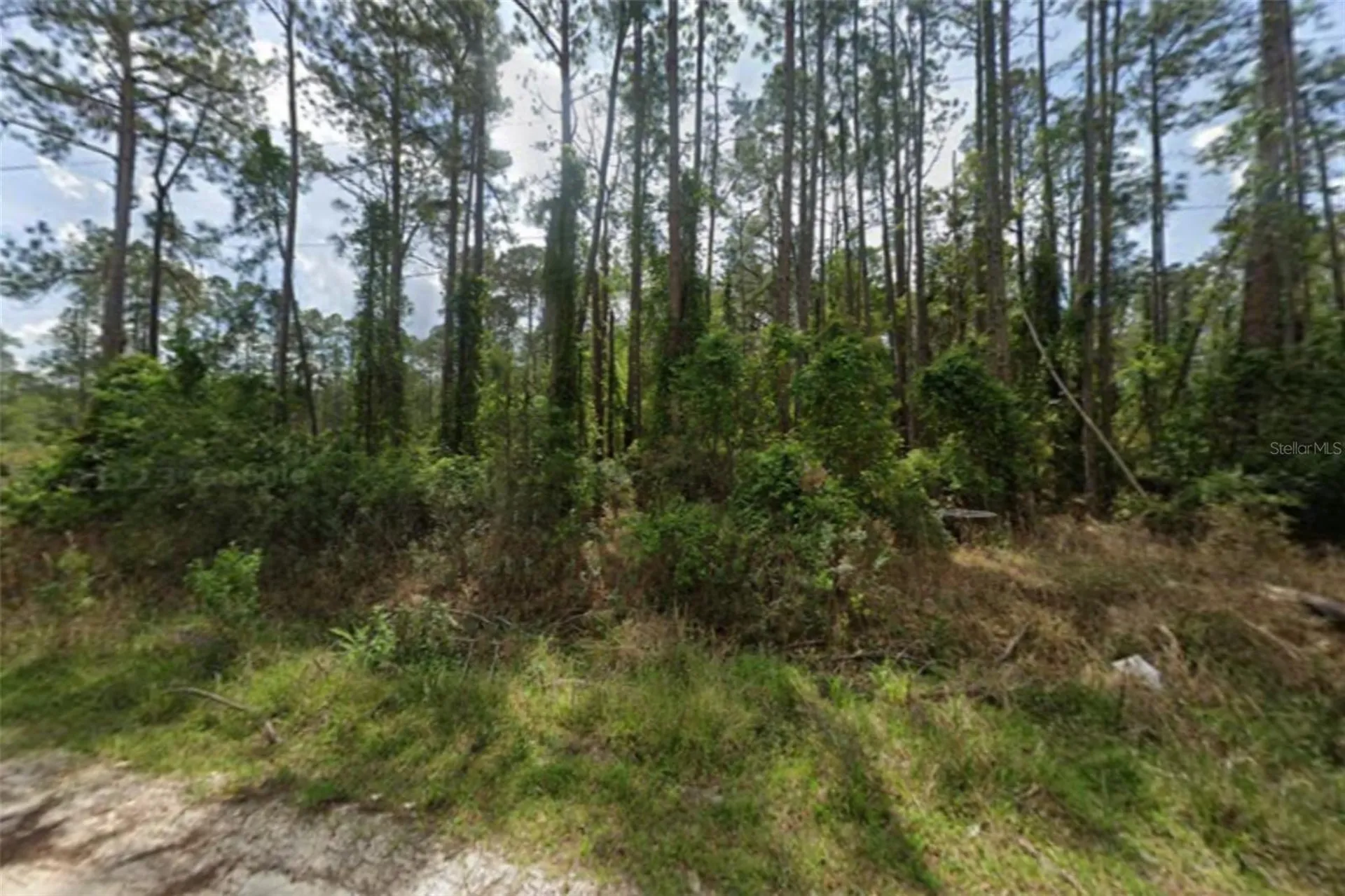 105 Pine Cone Drive Georgetown FL 32139