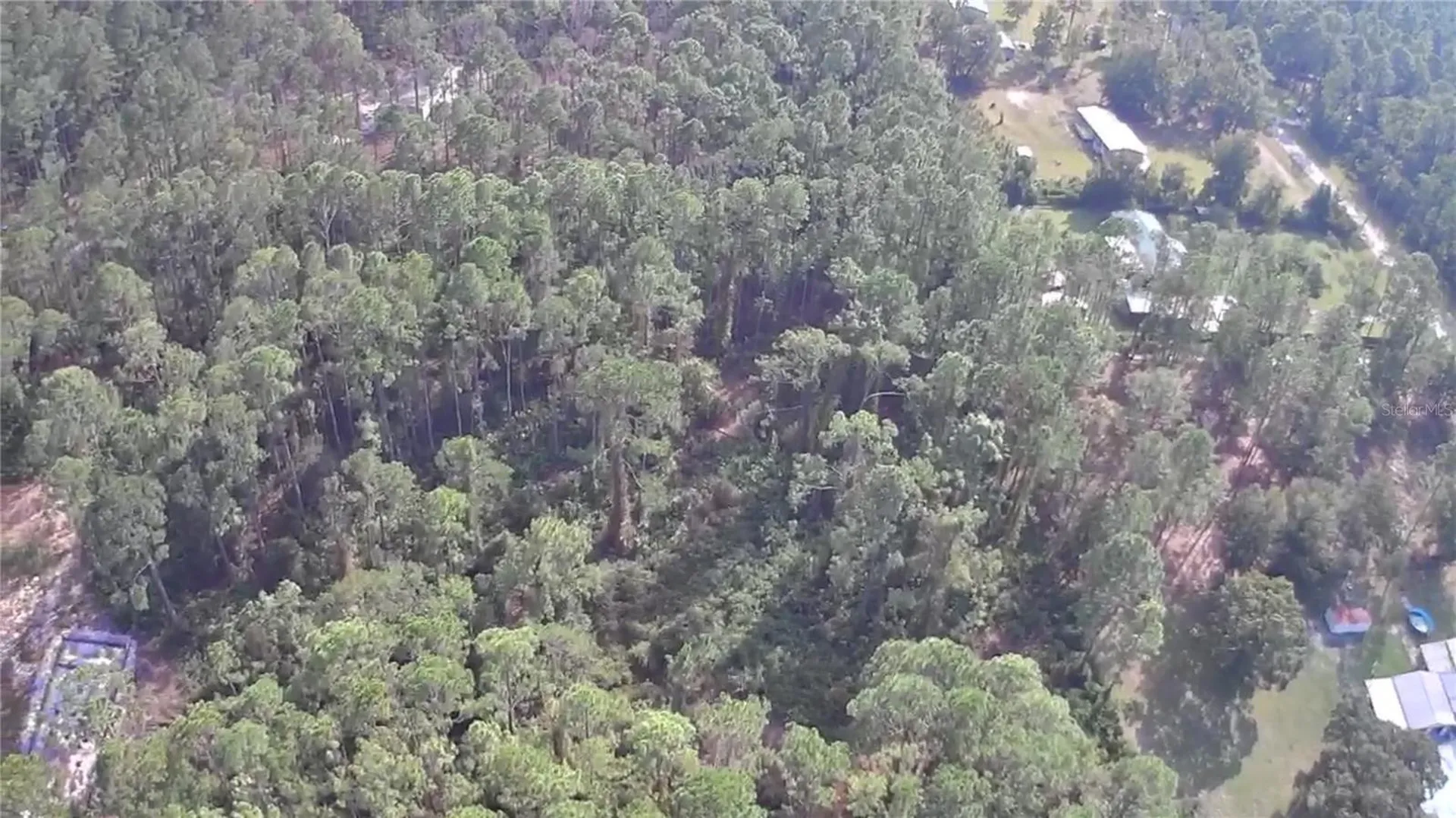 105 Pine Cone Drive Georgetown FL 32139