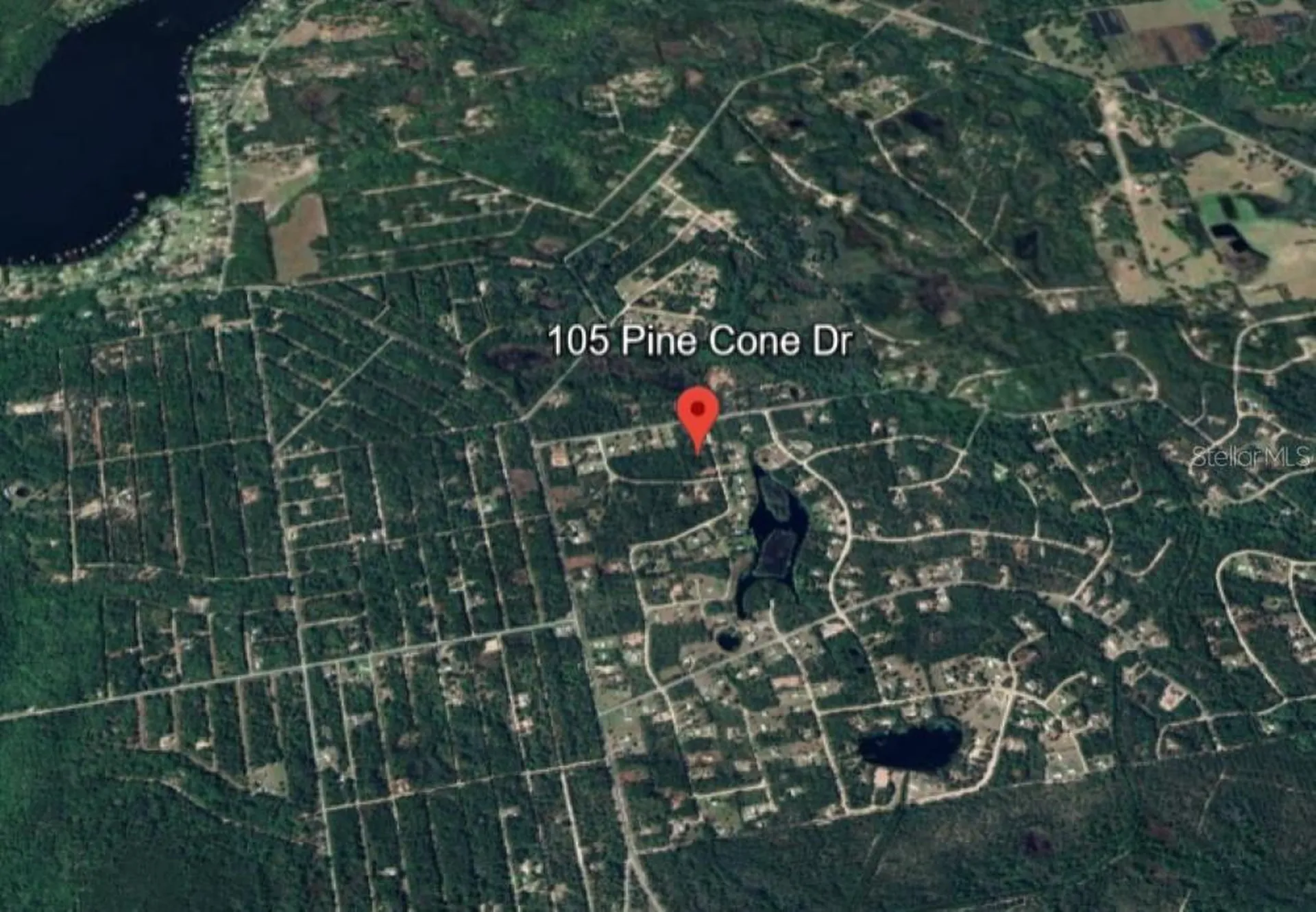 105 Pine Cone Drive Georgetown FL 32139