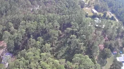 105 Pine Cone Drive Georgetown FL 32139