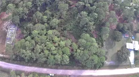 105 Pine Cone Drive Georgetown FL 32139