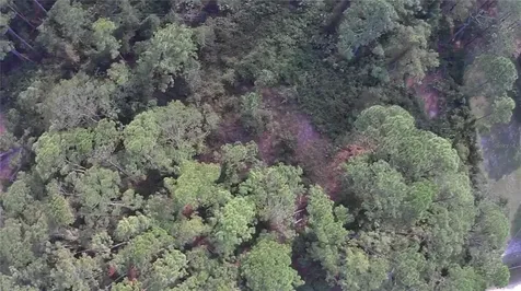 105 Pine Cone Drive Georgetown FL 32139