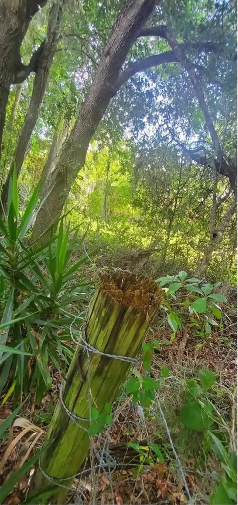 00 W Highway 40 Dunnellon FL 34431