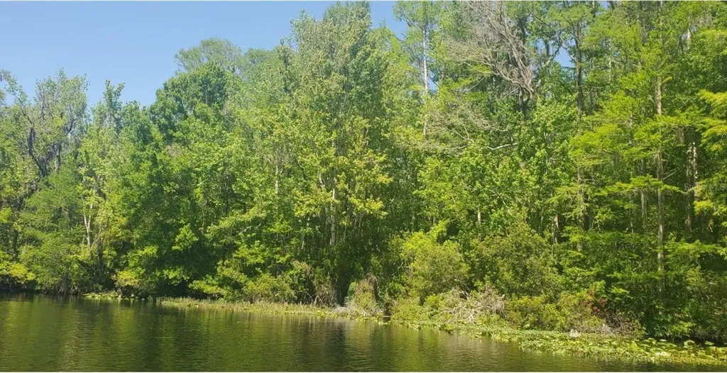 00 W Highway 40 Dunnellon FL 34431