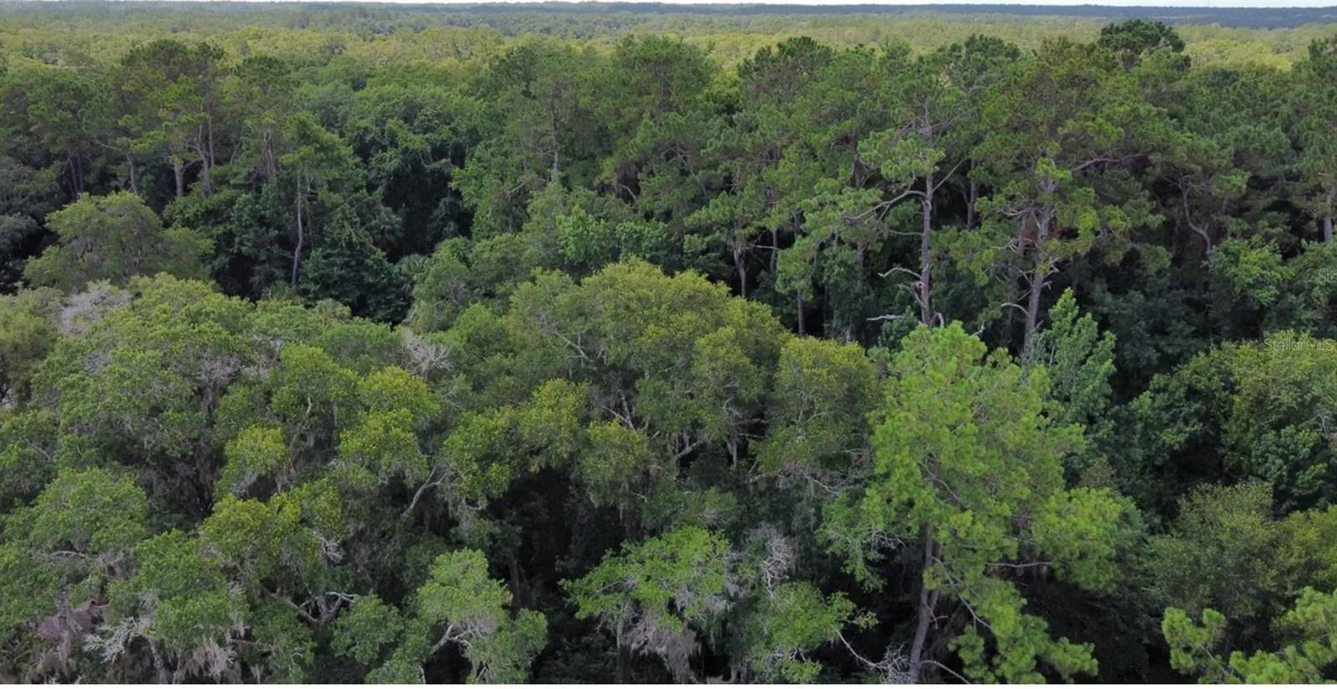 00 W Highway 40 Dunnellon FL 34431